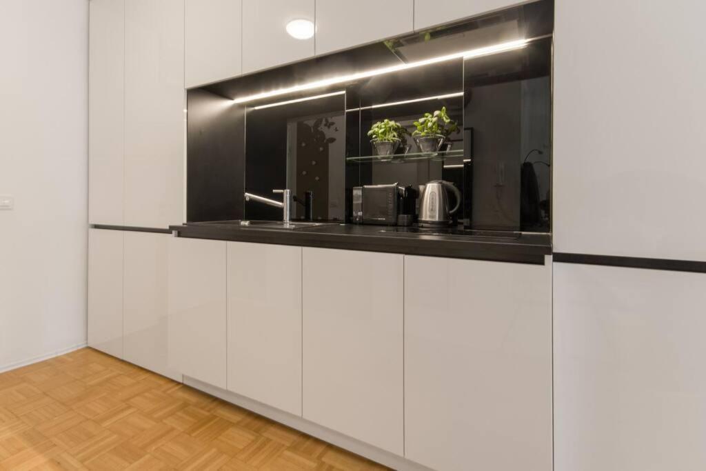 Gorgeous Central Flat With Garage Ljubljana Kültér fotó
